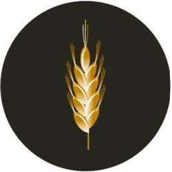 Spiga d Oro
