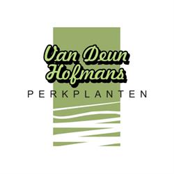 Perkplanten Van Deun - Hofmans bvba