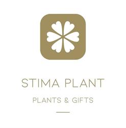 Stima - Plant Bvba