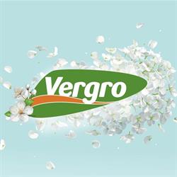 Vergro NV