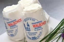 Walschot NV