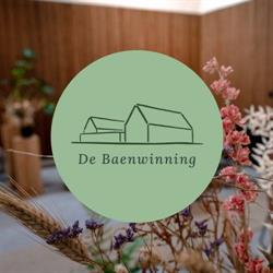 De Baenwinning