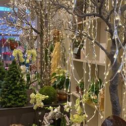 Bloemenatelier Fine Fleur