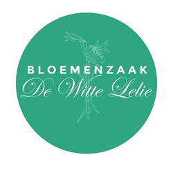 De Witte Lelie Johan Nuytten - Neyrinck/Johan