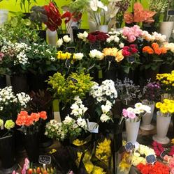Bouquet Varié