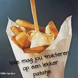 Frituur els