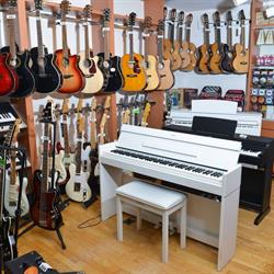 Andante Muziekschool