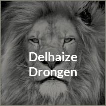 AD Delhaize Drongen BVBA
