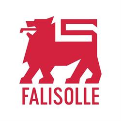 Delhaize Groupe sa