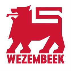 Delhaize Groupe sa, Delhaize Groep nv