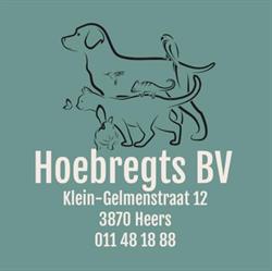 Hoebregts willy