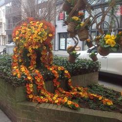 Bloemenboetiek hingene