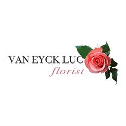 Van Eyck Luc