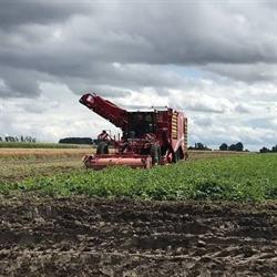 Loonwerken Claerhout