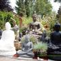 Buddhatuin