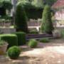Photo_Hennart_Jardinage