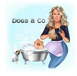 Dogs & Co