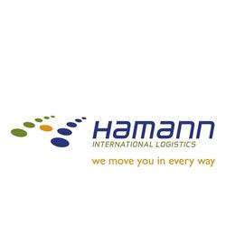 Hamann International Services