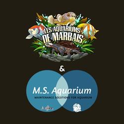 Aquariums Marbais