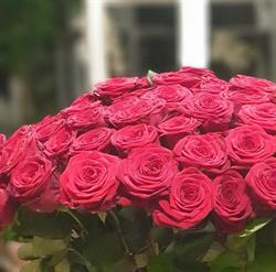 Fleurs Baccara