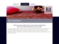 Site de Blu-Agencies