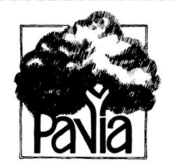 Boomkwekerij Pavia