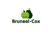 Bruneel-Cox BVBA