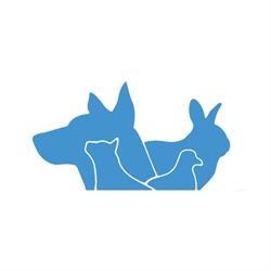 Dierenarts Nysen