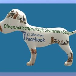 Dierenartsenpraktijk Swinnen-Segers bvba