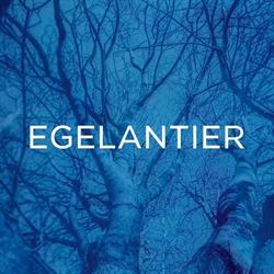 Egelantier