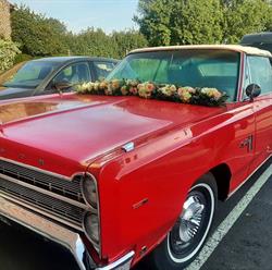 Movaert Florist bvba