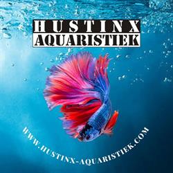 Hustinx Aquaristiek