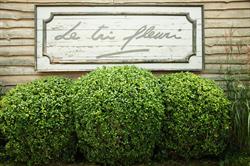 Le Tri Fleuri