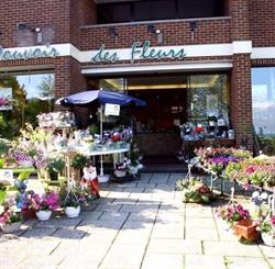 Le Pouvoir des Fleurs