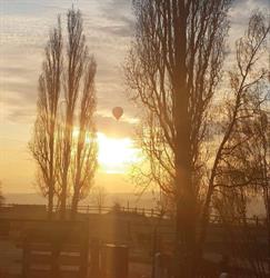 Centre Equestre du Lod Farm