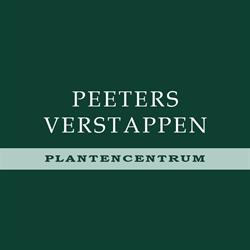 Peeters-Verstappen