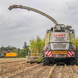 Peltyn Agri bvba