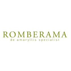 Romberama - De Amaryllis Specialist
