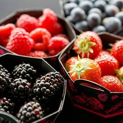 Timco Fruit nv