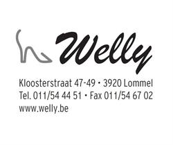 Welly