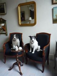 Hemeleers/Frantz