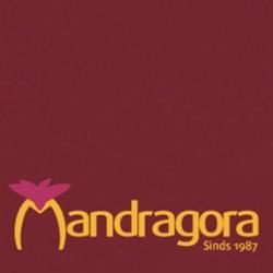 Mandragora