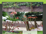 Site de Four Seasons