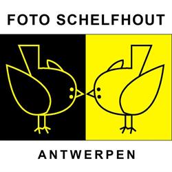 Foto Schelfhout