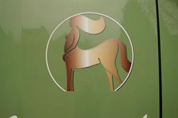 Golden Horse(The)
