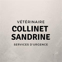 Collinet Sandrine