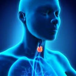 Docteur Borgies Patrice Endocrinologue