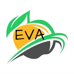 Eva (Schoonheidsinstituut)