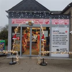 Proxy Delhaize Havelange