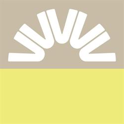 D. V. Foods